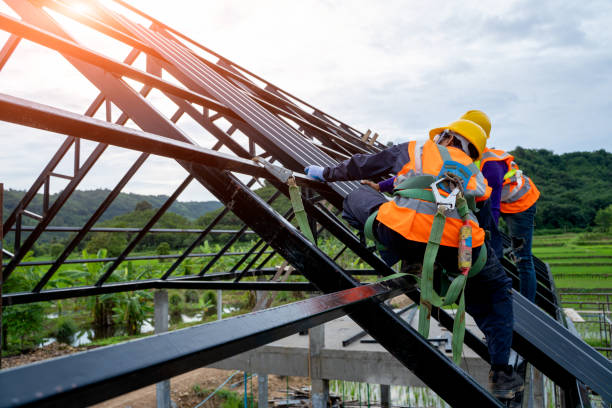 Best Roof Gutter Cleaning  in Hamburg, IA