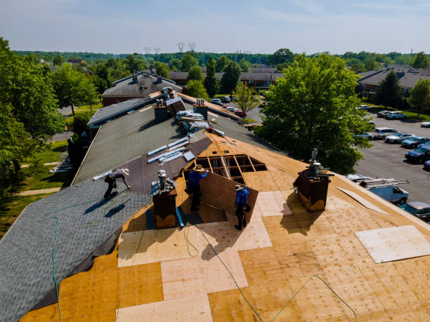 Best Roof Leak Repair  in Hamburg, IA
