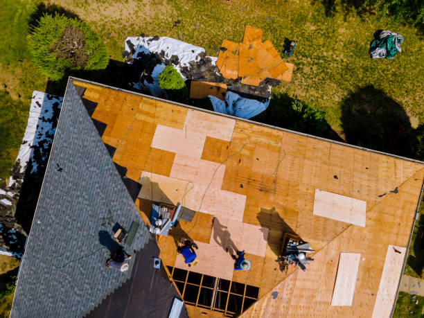 Best Affordable Roofing Company  in Hamburg, IA