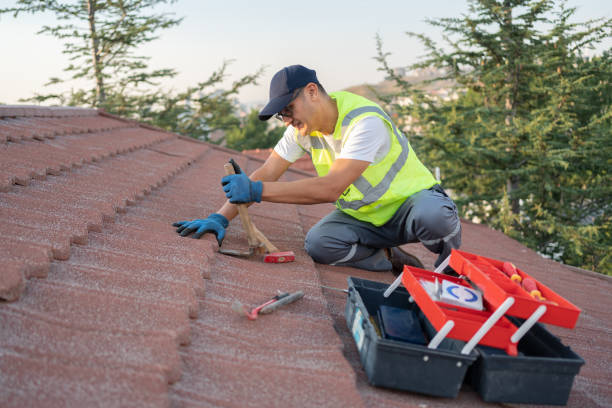 Best New Roof Installation  in Hamburg, IA