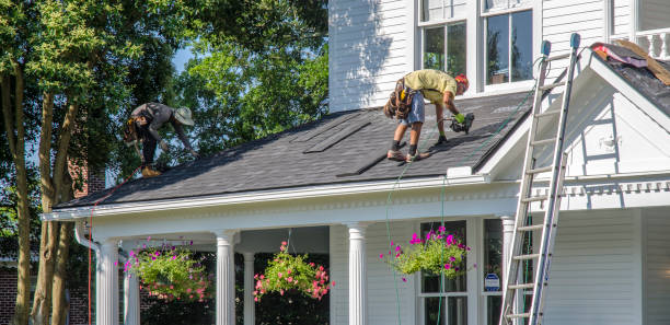 Best Metal Roofing Contractor  in Hamburg, IA