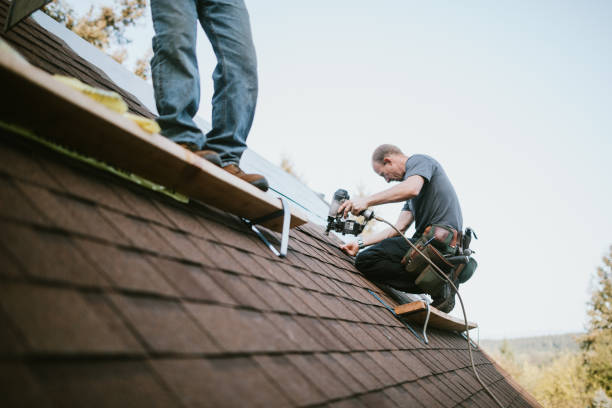 Best Flat Roof Repair Services  in Hamburg, IA