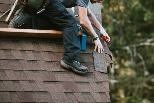 Best Roof Inspection Near Me  in Hamburg, IA