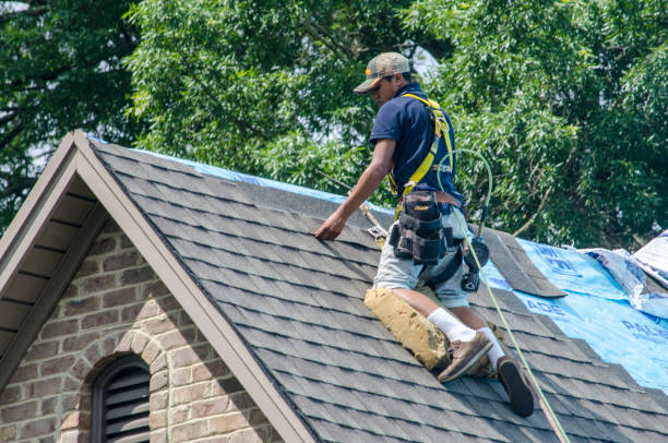 Best New Roof Installation  in Hamburg, IA